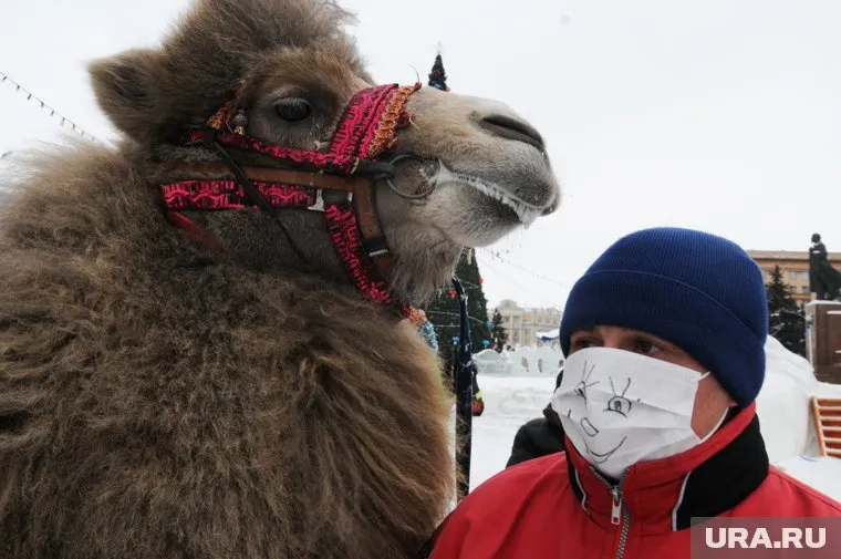 "Масочный режим" на Южном Урале снят