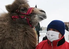 Фотография из галереи