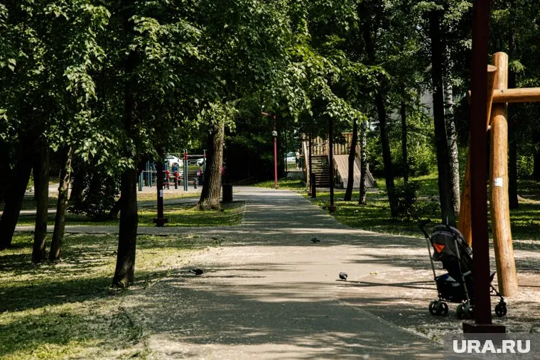 В Сургуте обустроят новый парк