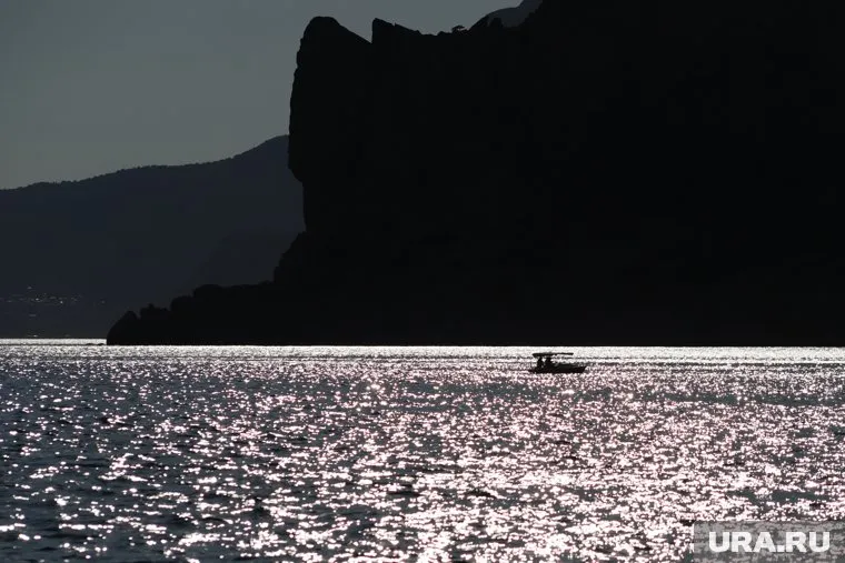 На берегу моря вместе с мертвыми животными лежали горы мусора