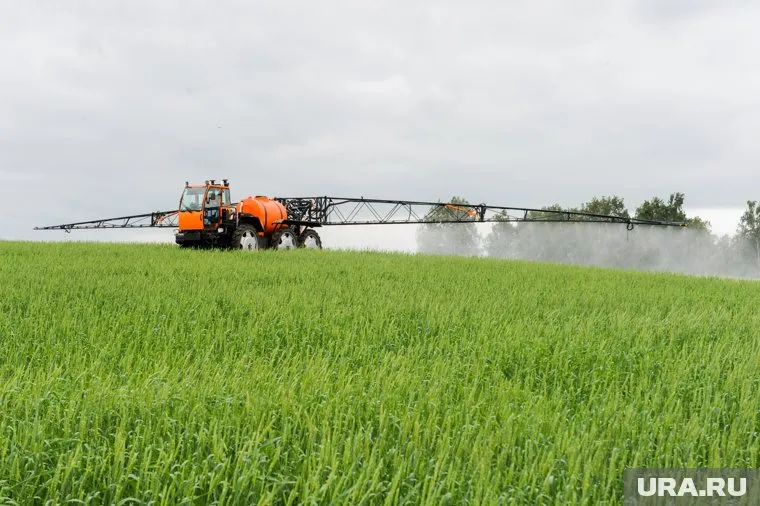 Росгидромет подготовит подробный прогноз погоды для аграриев