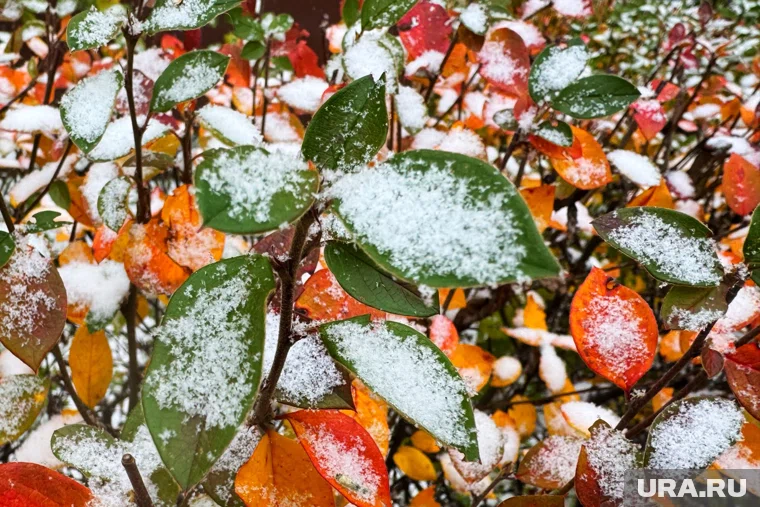 Снег может выпасть в Кургане уже 15 октября