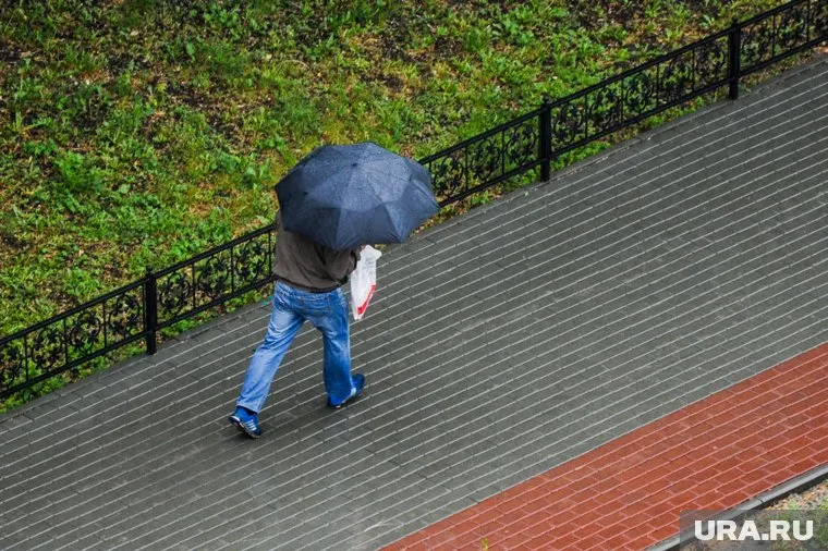 Из-за урагана в Свердловской области отключали свет, деревья падали на машины, а проезжие части затапливало