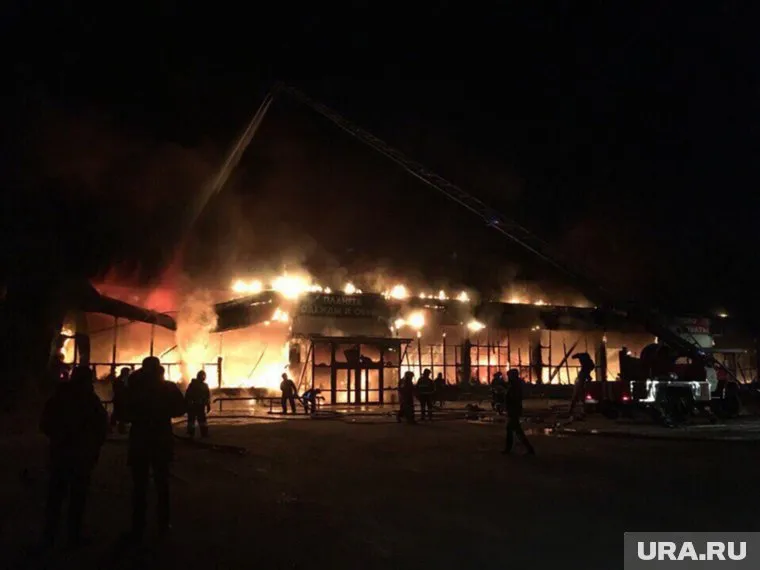 Сумму ущерба оценили в 63 млн рублей