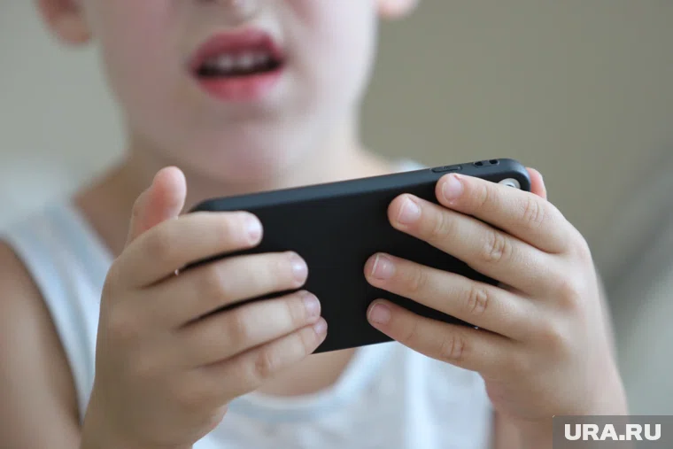 О мошенничестве в полицию сообщила мать подростка