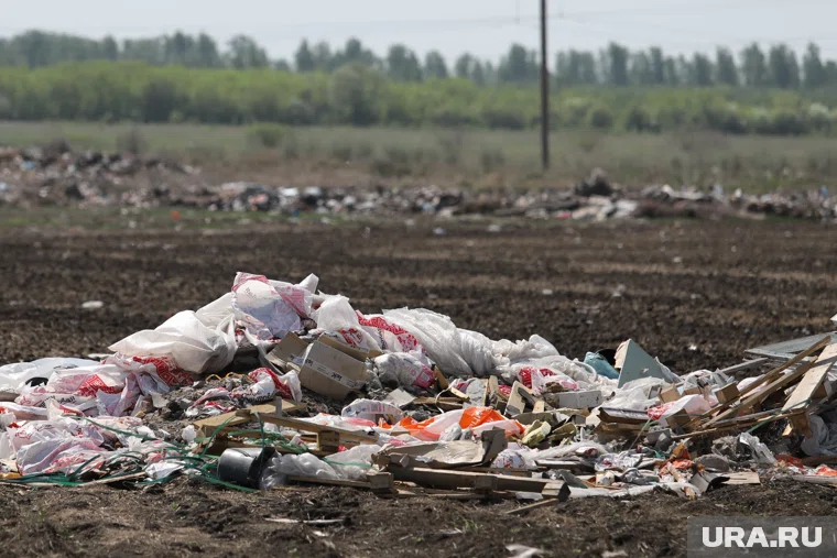 В случае установления виновных их обяжут устранить нарушения 