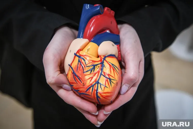 Сердце пожилой пациентки останавливалось дважды