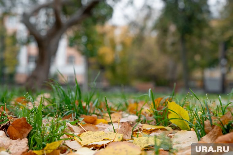 Народные приметы на октябрь 2025: как понять, какой будет зима