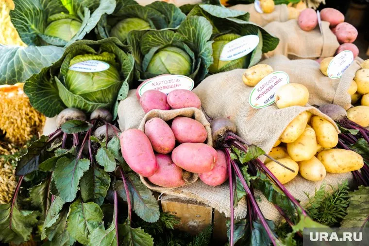 В России резко подорожал «борщевой набор»