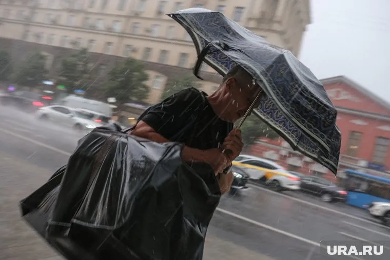 В Москве из-за урагана пострадало 35 человек