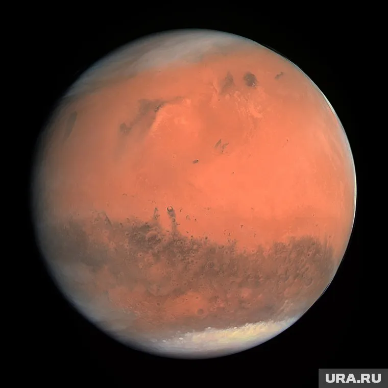 Залогом для ее зарождения были запасы влаги в почве