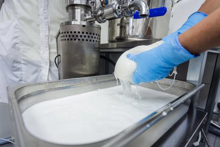 Цех по производству кокосовых йогуртов. Екатеринбург