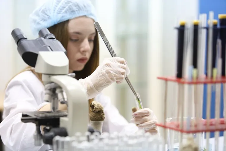 КГСХА. Агрономический факультет. Микроклональное размножение картофеля. Курган