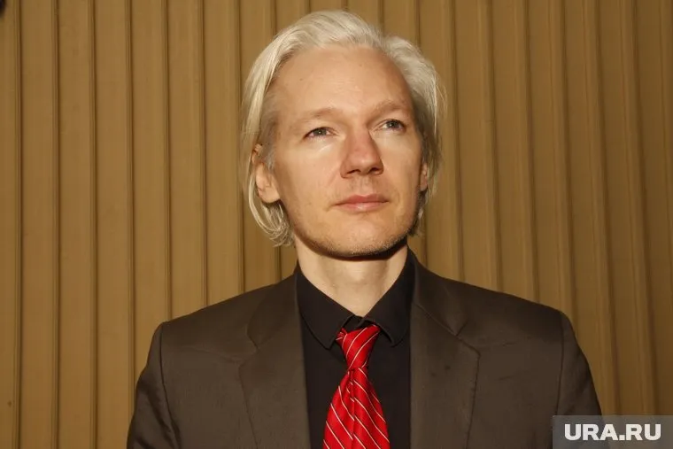 На портале Wikileaks публиковались засекреченные документы США, связанные с войнами в Ираке, Афганистане, Сирии, письма членов Демократической партии США