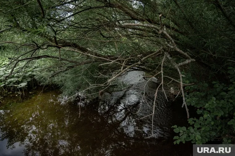 Затонувший в болоте БТР удалось вытащить спустя шесть дней