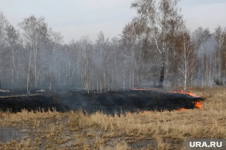 Прокуратура ХМАО оценила готовность властей к лесным пожарам
