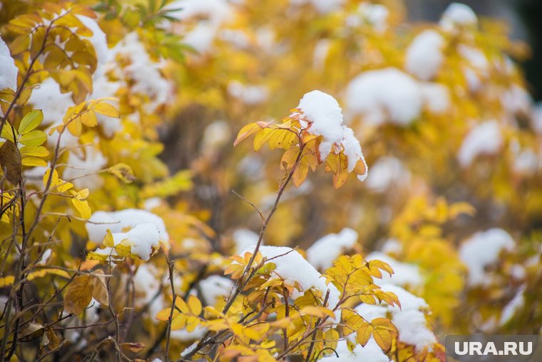 В ХМАО Хэллоуин встретят с дождем, а проводят с морозом и снегом