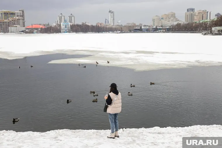 1 марта погода будет соответствовать климатическим нормам