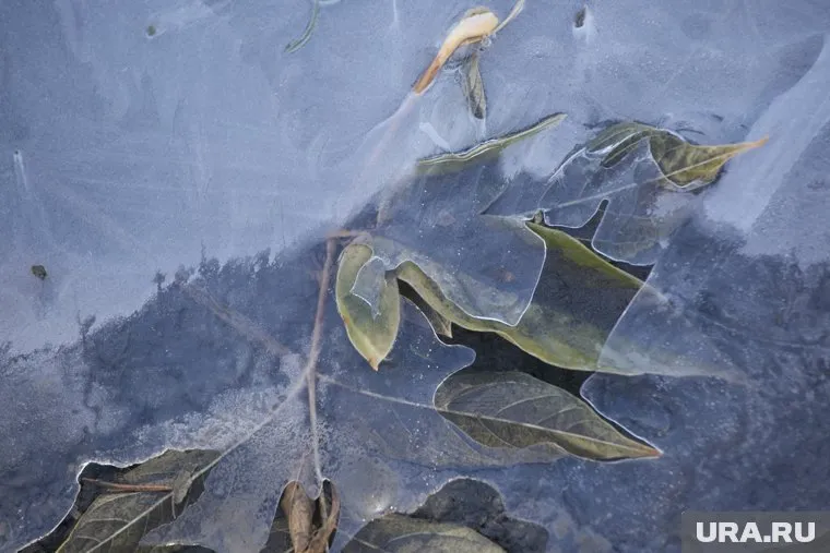 Ночные температуры в округе опустятся до 0 градусов