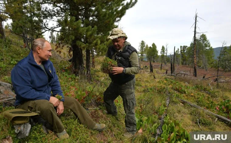Владимир Путин и Сергей Шойгу отдыхают в тайге до 8 сентября (архивное фото)