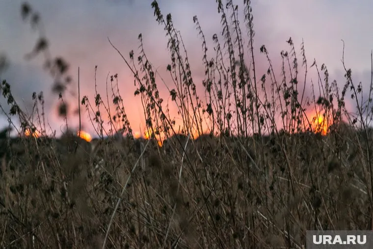 В настоящее время пожар локализован