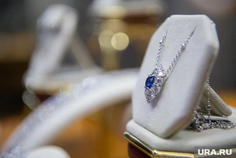 Супруга хирурга Руденко рассказала суду об изъятом имуществе