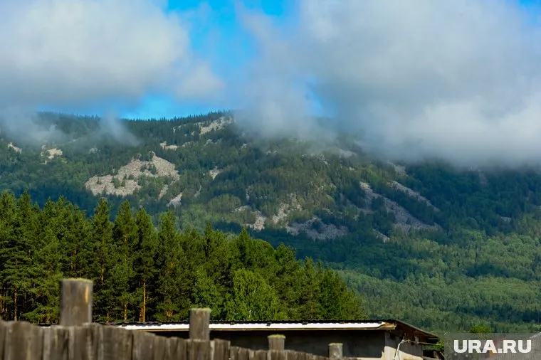 На «Зигальге» оленьи рожки встретили впервые