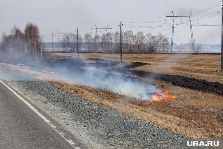 В городе горит сухая растительность (архивное фото)