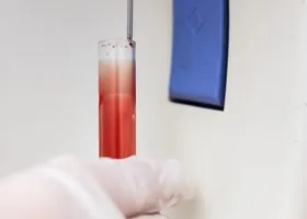 Минобороны: власти США разыскивают сбежавших сотрудников биолабораторий на Украине