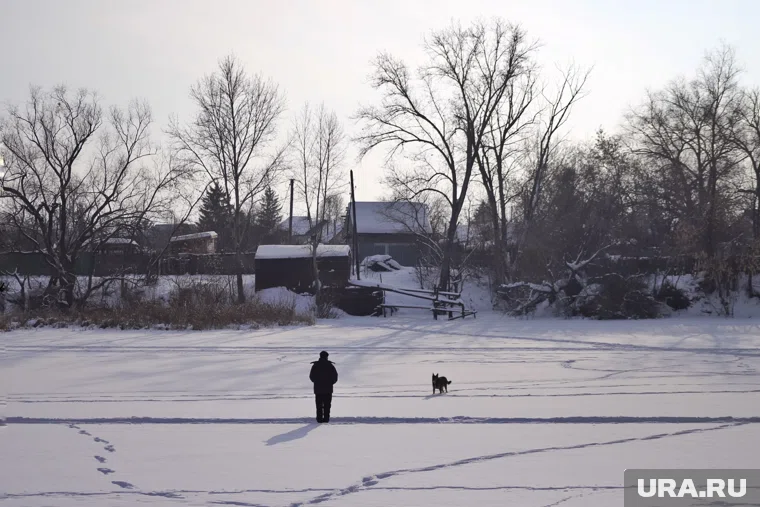 Инцидент произошел в Тюменском районе