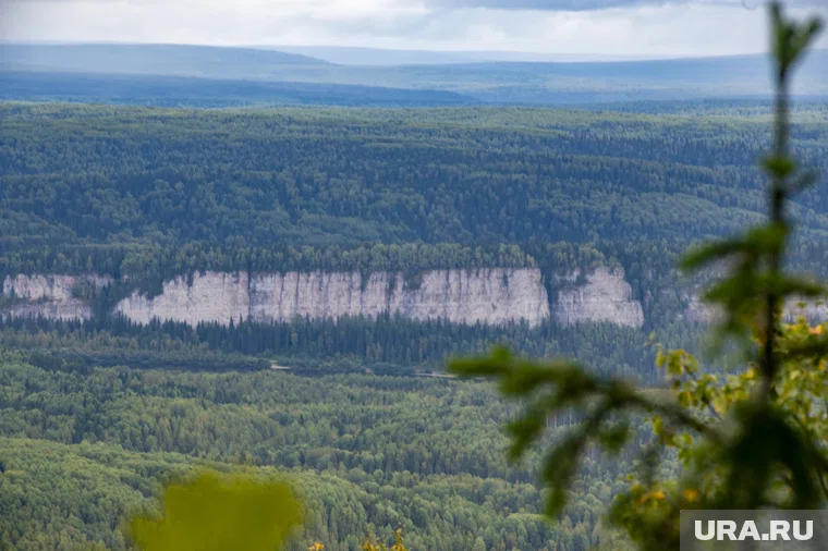 В рамках проекта на территории будут размещены фигуры животных в натуральную величину