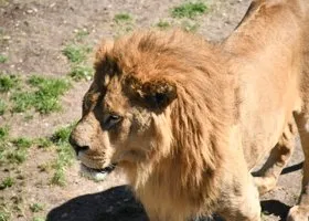 Фотография из галереи