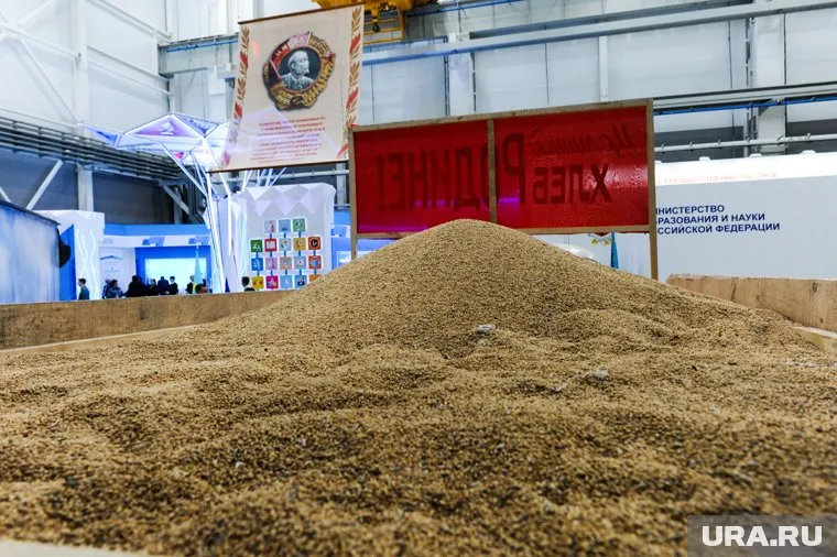 Получателями челябинского зерна и лесоматериалов стали 35 регионов России