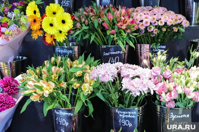 Помещение магазина находится в аренде