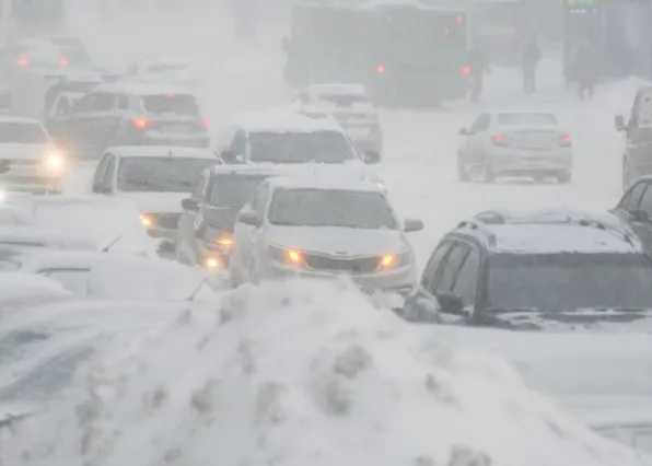 Фотография из галереи