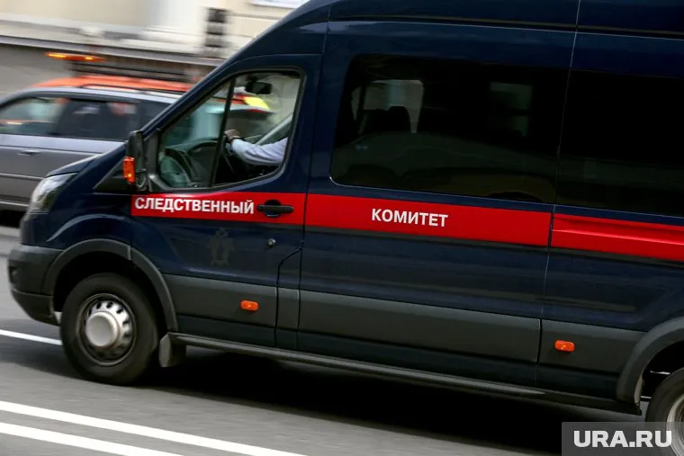 В СК расследуют уголовное дело по статье о хулиганстве