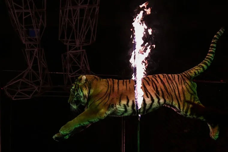 Последнее представление в Екатеринбургском цирке перед реконструкцией. Екатеринбург 