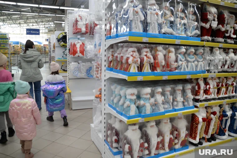 Парламентарии предложили меры поддержки россиян в новогодние каникулы