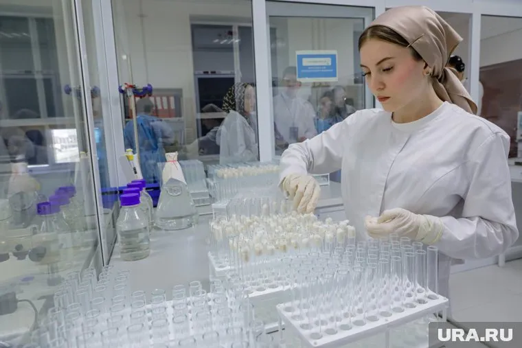 Способ разработали ученые ГАУ СЗ