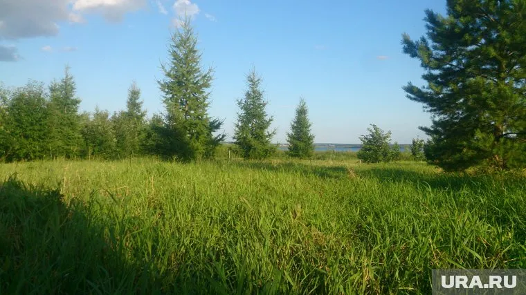 Прокуратура возвращает городу земельный участок