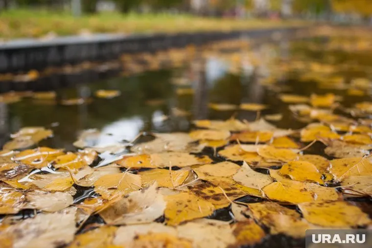 После поручения губернатора лужа должна будет исчезнуть