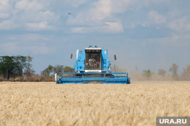 На развитие сельского хозяйства хотят выделить еще 10,5 млрд рублей
