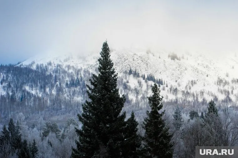 На Зигальге лед на реках ослаб, и началось первое таяние