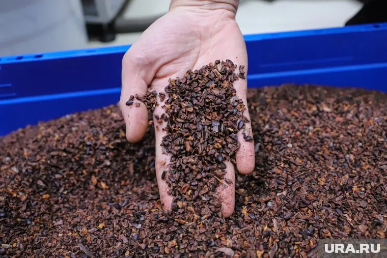 Сырье для изготовления шоколада стало стоить дороже на 30%