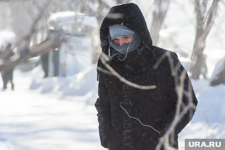 В этом году зима еще может стать холодной