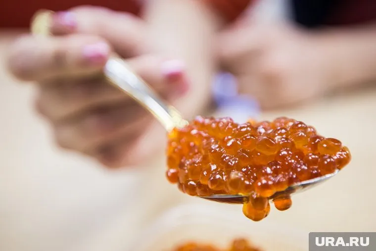 В меню банкетов Тюменской областной думы включены рыбные и мясные деликатесы