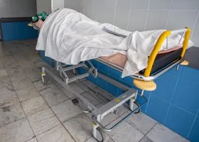 Фотография из галереи