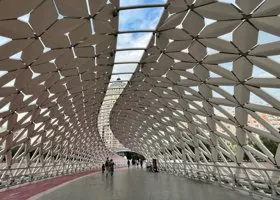 Фотография из галереи