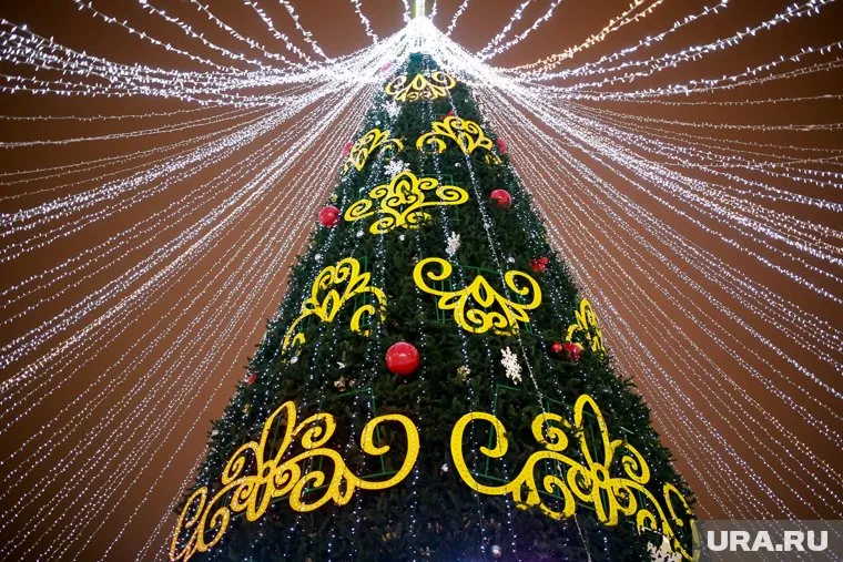 33-метровую елку установят на центральной площади Ханты-Мансийска