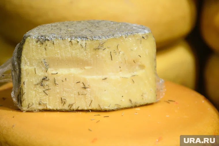Врач запретила есть сыр с плесенью каждый день